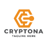 Crypto Coin Cube Pro Logo Template