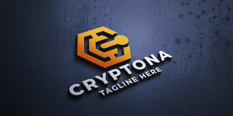 Crypto Coin Cube Pro Logo Template