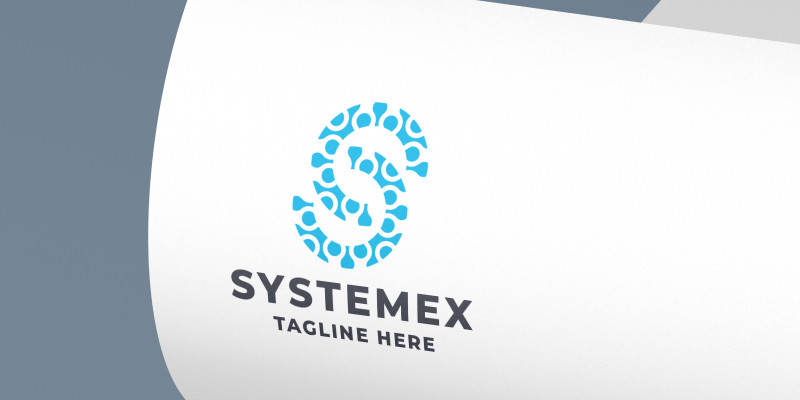 Systemex Letter S Pro Logo Template