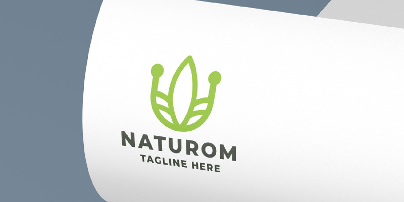 Naturom Pro Logo Template