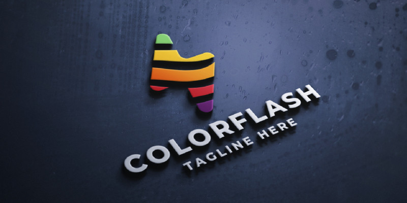 Color Flash Pro Logo Template