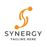 Synergy Letter S Pro Logo Template