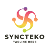 Syncteko Letter S Pro Logo Template