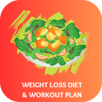 Weight Loss Diet and Workout Plan Source Code