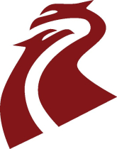 Eagle R Logo Screenshot 5