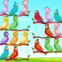 Bird Sort Color Sorting Unity Source Code