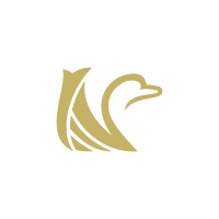 New Swan Letter N Logo