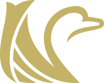 New Swan Letter N Logo Screenshot 6