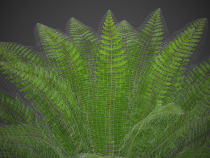 Ostrich Fern 3D Plant Low Poly Screenshot 6