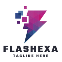 Flashexa Pro Logo Template