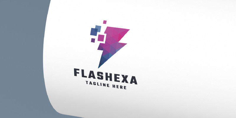 Flashexa Pro Logo Template