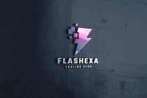 Flashexa Pro Logo Template Screenshot 1
