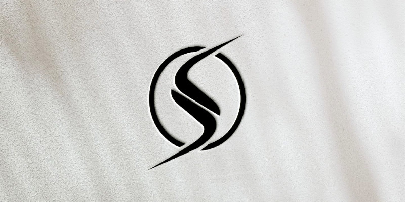 Professional logo design with letter S