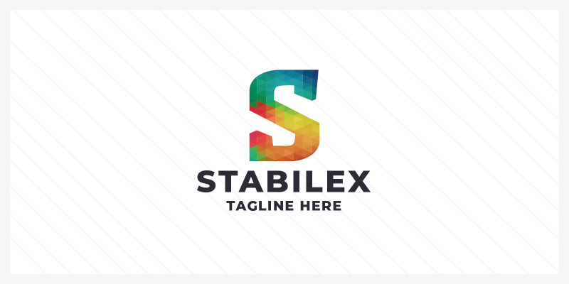 Stabilex Letter S Pro Logo Template