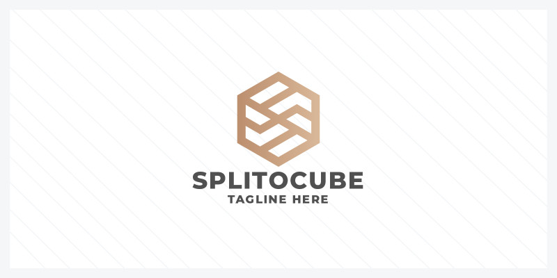 Cube Line Split Logo