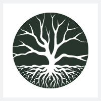 Old Tree Pro Logo Template