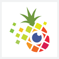 Pixel Pineapple Studio Pro Logo Template