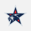 Eagle Star Logo Design