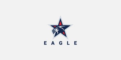 Eagle Star Logo Design