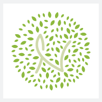 Natures Letter N Pro Branding Logo