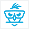 Owl Geek Bird Logo