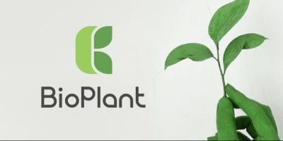 BP Letter Bio plant botanical logo