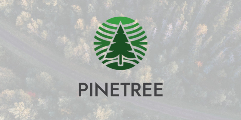 Pine Tree Circle Natural Logo Design Template