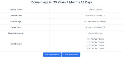 Domain Age Checker Tool