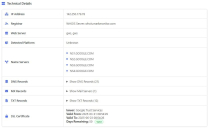 Domain Age Checker Tool Screenshot 9