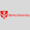 Mario University - College Elementor Template Kit