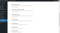Dynamic Website Optimizer - WordPress Plugin Screenshot 3