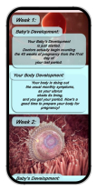 Pregnancy Tracker Week by Week - Android Screenshot 2