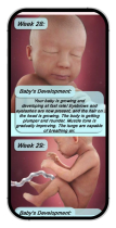 Pregnancy Tracker Week by Week - Android Screenshot 11