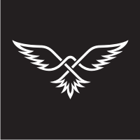 Infinity Bird Logo