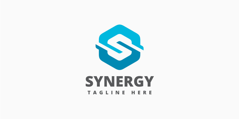 Synergy Letter S Logo Template