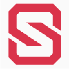 Solid Letter S Logo