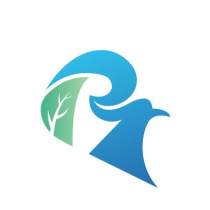 Nature Letter R Logo Screenshot 4