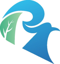 Nature Letter R Logo Screenshot 6