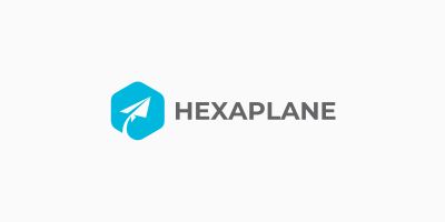 Hexagon Plane Logo Template