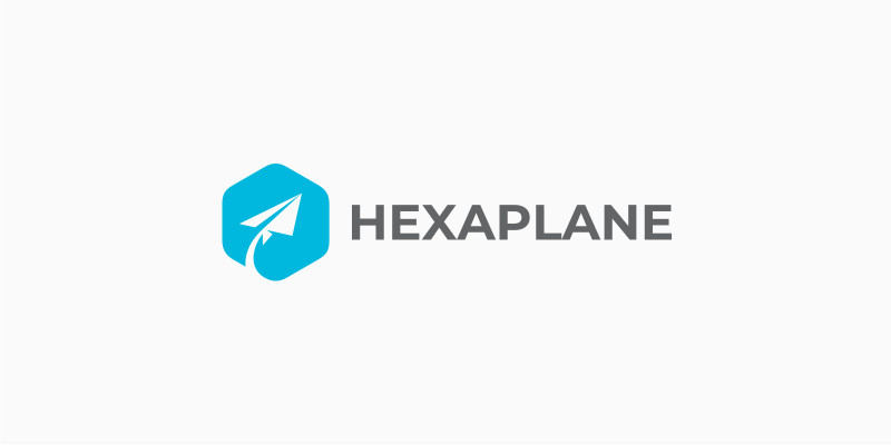 Hexagon Plane Logo Template