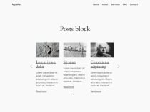 Posts Block Pro for WordPress Screenshot 7
