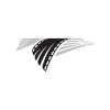 Eagle Flying Film Logo 