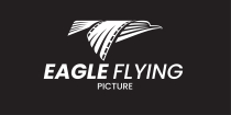Eagle Flying Film Logo  Screenshot 1