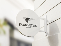 Eagle Flying Film Logo  Screenshot 2