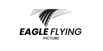 Eagle Flying Film Logo  Screenshot 6