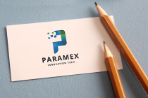 Paramex Letter P Logo Screenshot 4