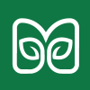 M Letter Leaf Plant Logo Design Template
