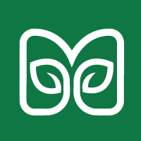 M Letter Leaf Plant Logo Design Template