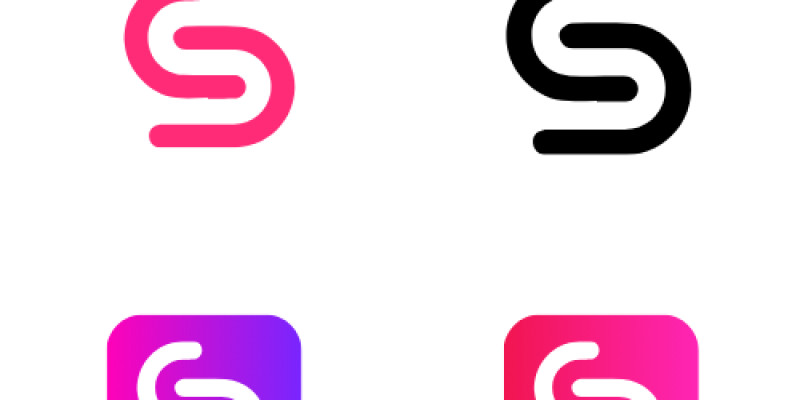  Letter S Professional Logo  Design