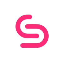  Letter S Professional Logo  Design Screenshot 7